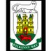 Kilkenny Rugby (@KilkennyRFC) Twitter profile photo