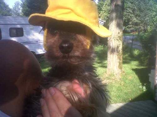 dodie_mc's profile picture. Partner - Home and Condo Market, Brokerage. This is about more than Real Estate! It is about your life and your dreams. - Helping those dreams come true.