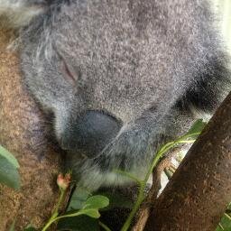 くららが立った！