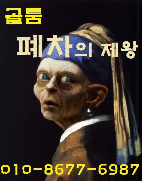 정식허가 관허폐차장, 경인폐차산업(관허96-3)
미스골룸 : 문의 010-8677-6987 
맞팔 100% 도전중 ~!! ^^