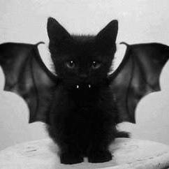 alyssaasky's profile picture. 