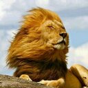 Michelle Leyba - @ShellgonzLeyba - Twitter