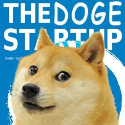 startup_doge Profile Picture