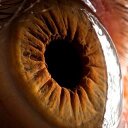 Jackson Robles - @_545_458748 - Twitter