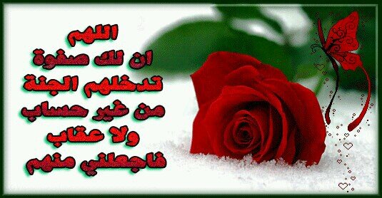 Allah with me.Allah see me.Allah won't leave me..Allah,please,forgive me not for me but because you're The most Merciful,The most Gracious..(silence wounded!!!)