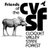 FriendsCVSF