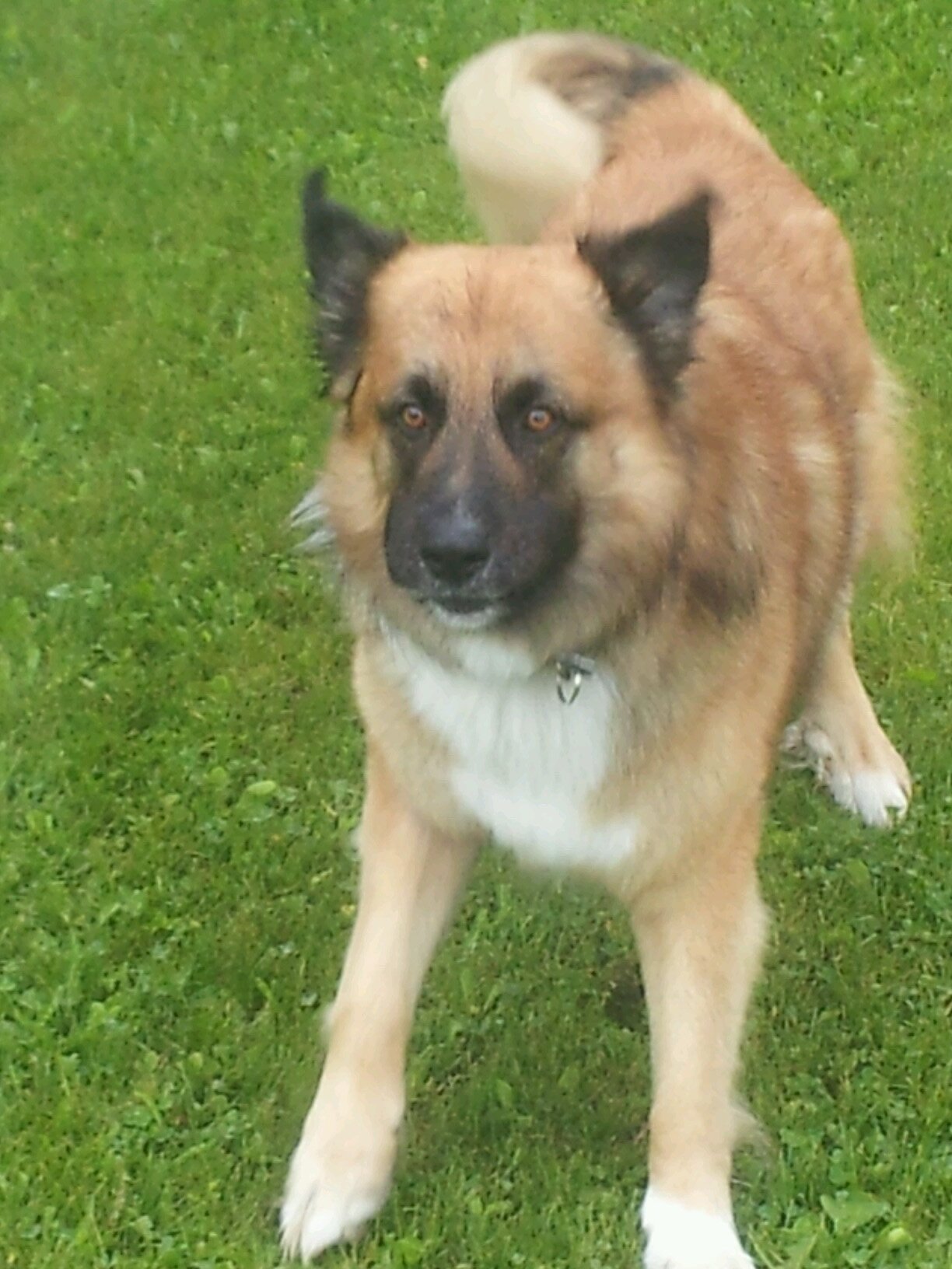 FdFoote's profile picture. 