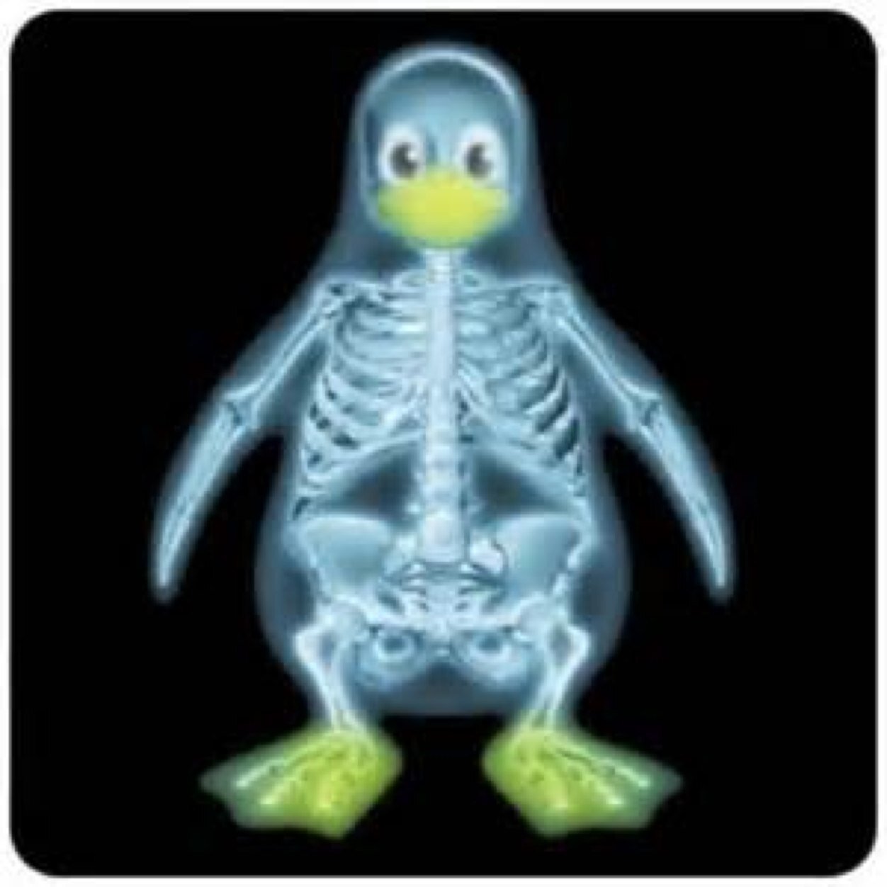 xrayokie's profile picture. 