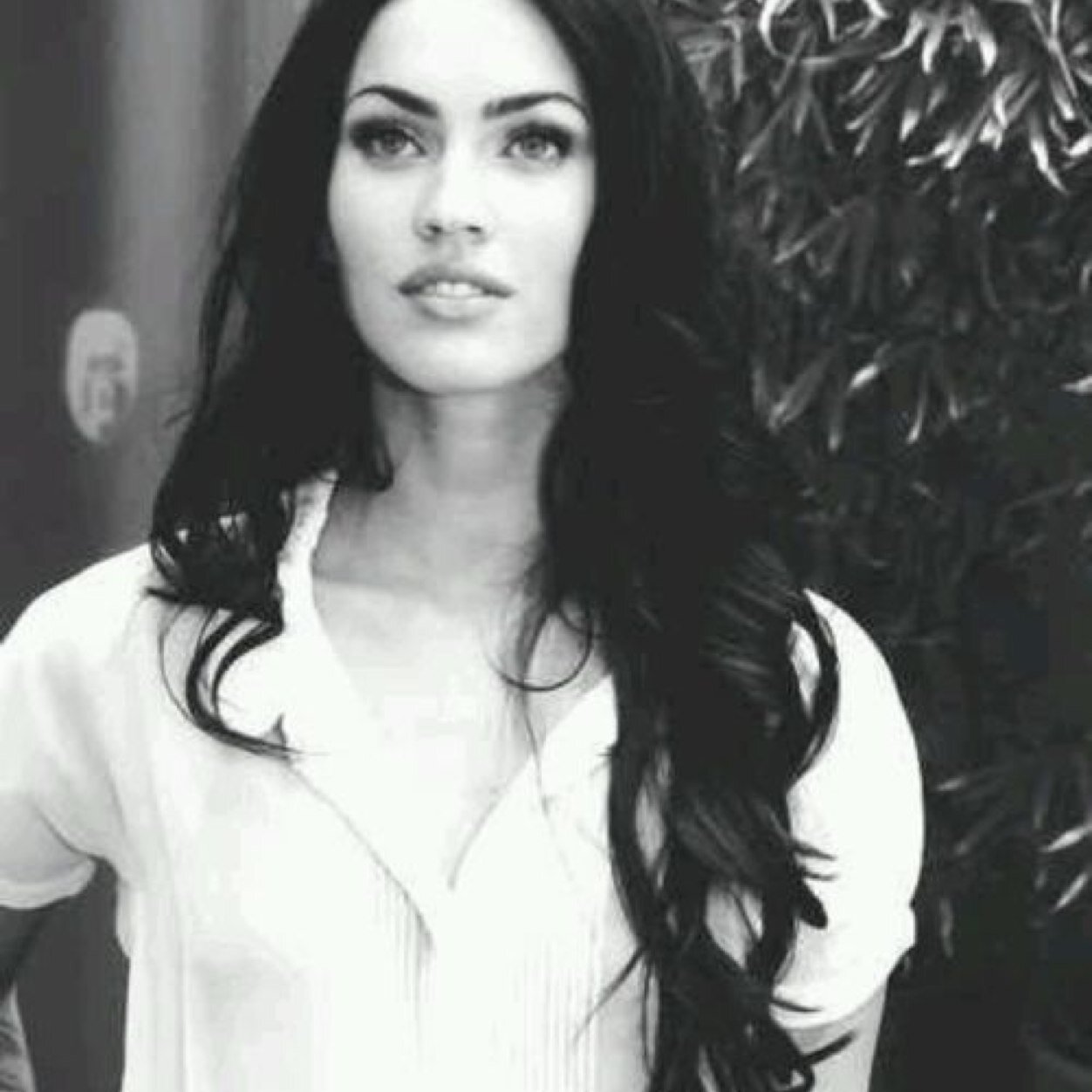 WildMaleficent's profile picture. Let me teach you a thing or two, weaklings. | Belongs to the most powerful family in the wizarding world. Former Slytherin. Potions tutor. | Animagus.