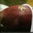 CoachTBar's profile image