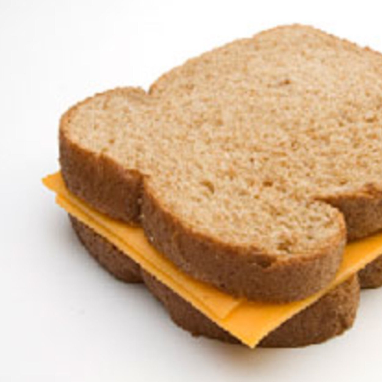 Just ur average sandwich tryna make a change in the world
