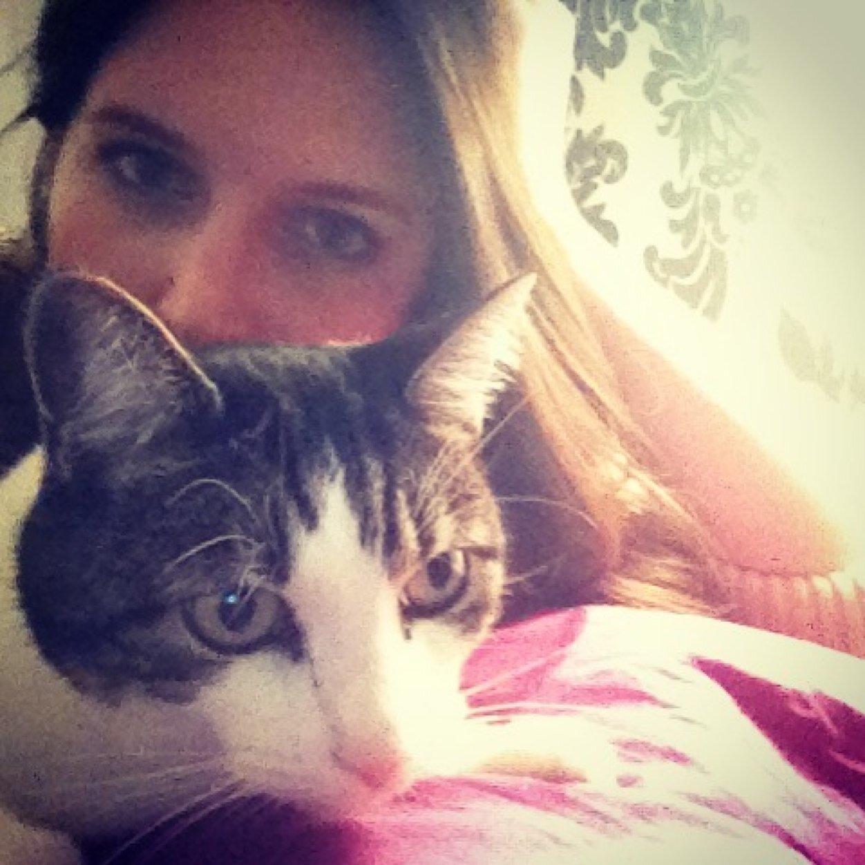 meagsoll's profile picture. aspiring accountant. i like to laugh, and make people laugh. extreme shopping addict and shoe lover. #cats