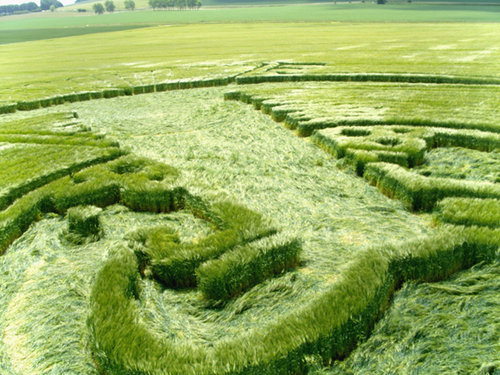 Crop circle reports in the UK