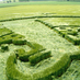 UK Crop Circles (@ukcropcircles) Twitter profile photo