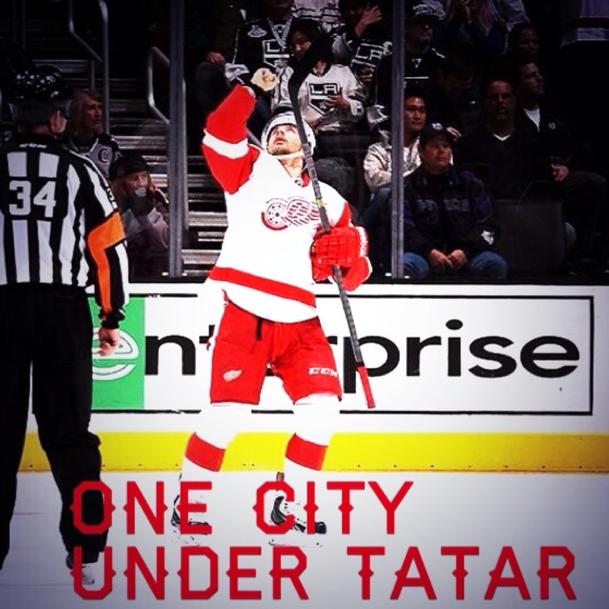 Just your average Red Wings fanatic.