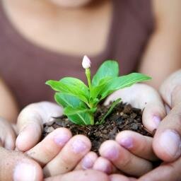Community Grower, Partner, Builder, and Connector