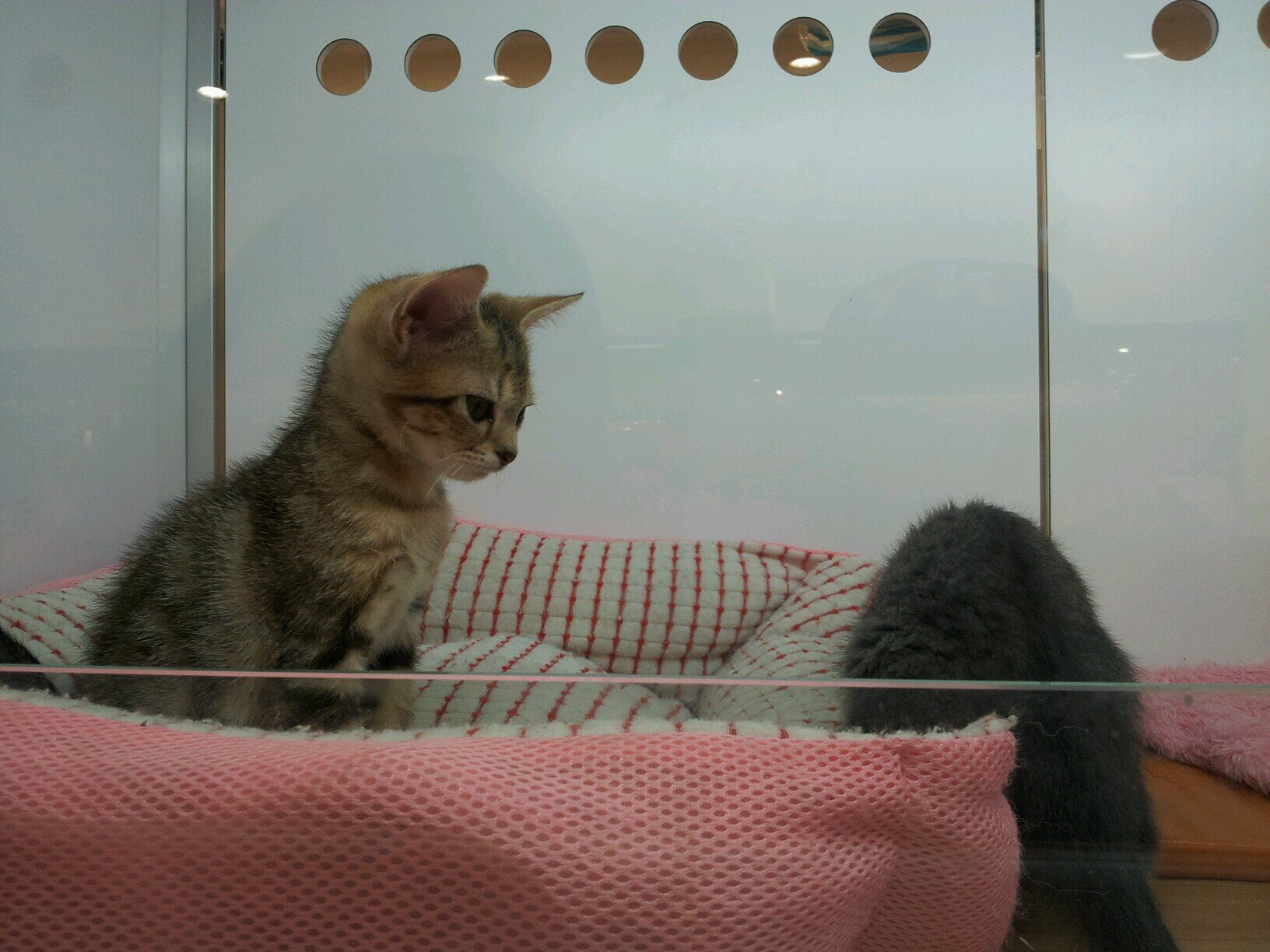 takahiro0326_am's profile picture. 松元中3年1組情報系好きです。高校は城西行きたいです！