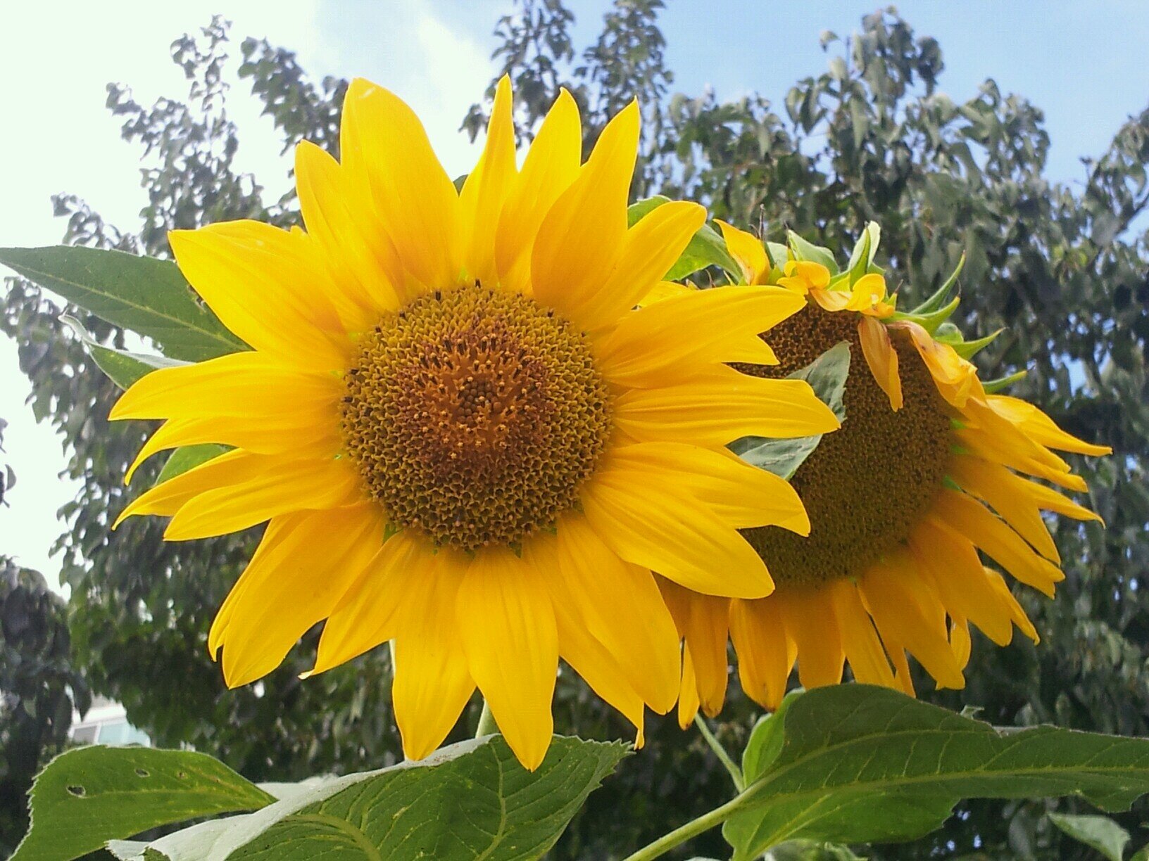 바로서는 대한민국
적페청산