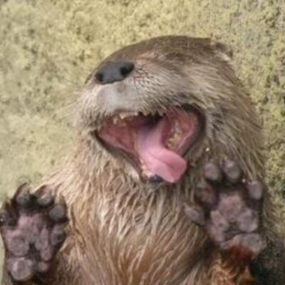 jmart894's profile image