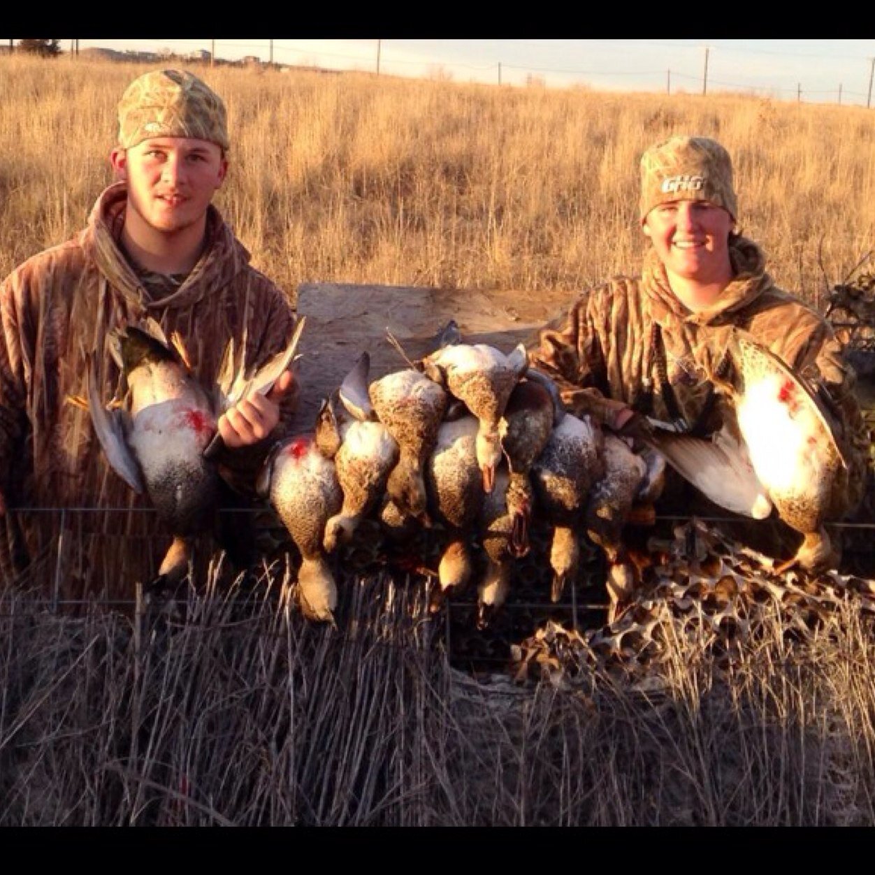 Gluck50's profile picture. 