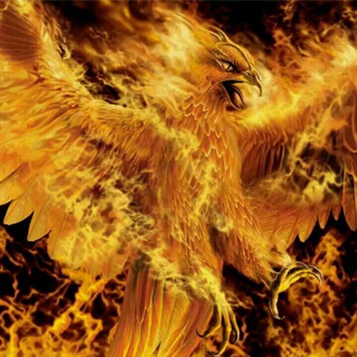 cirilorojasjr's profile picture. 