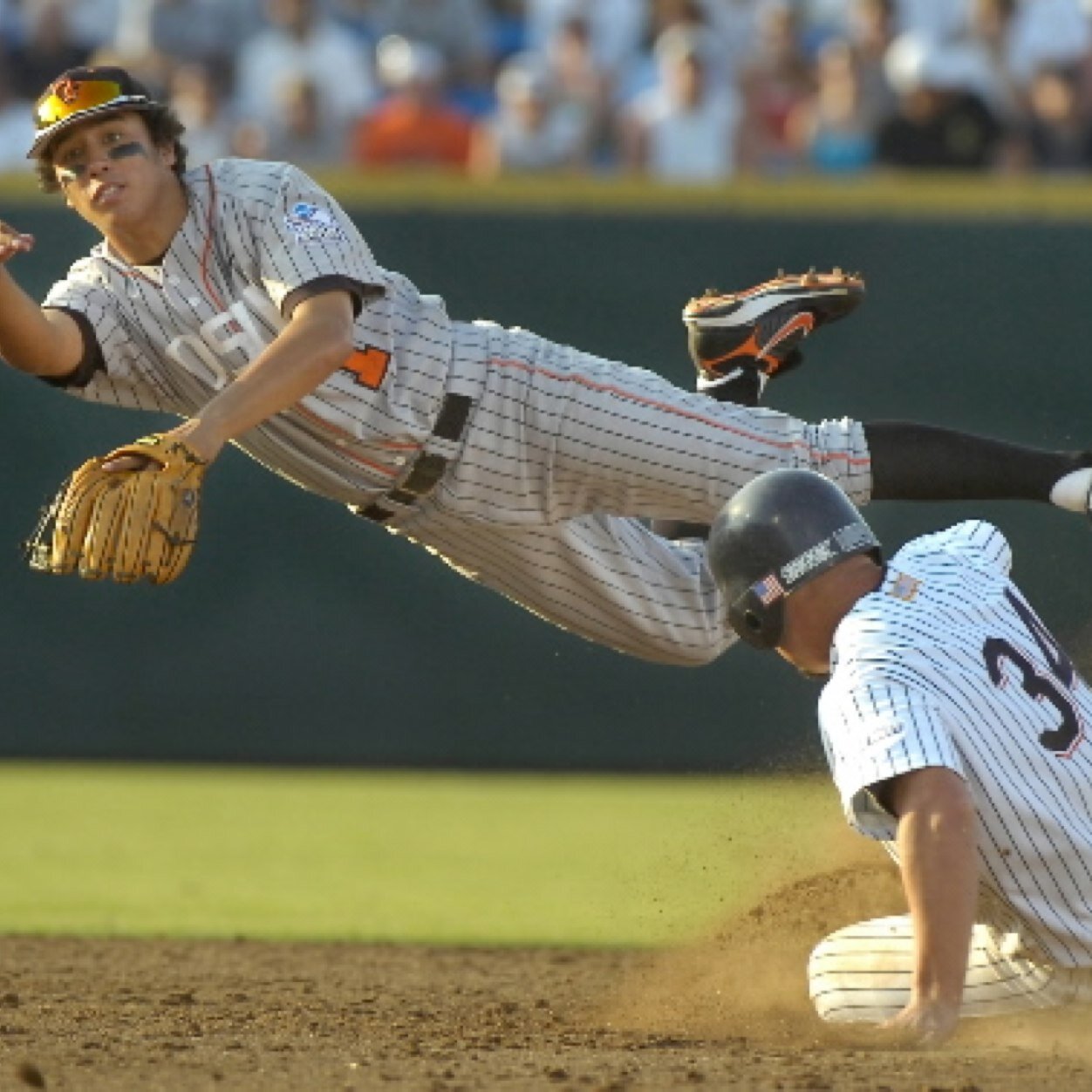 LingoBaseball's profile picture. Who's got seeds