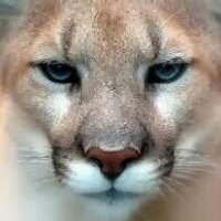 Crisp County Schools (@crispschools) 's Twitter Profile