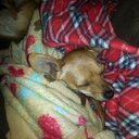 Chase MacNeil - @Chase_MacNeil - Twitter