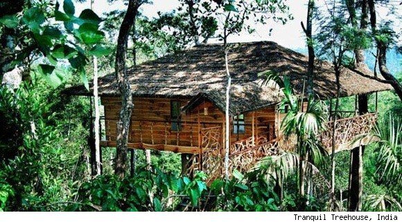 TreeHouses are the GOAT. I've had two, am inspired by Swiss Family Robinson & now adore Animal Planet's TreeHouse Masters! PostRadTreeHouses@gmail.com