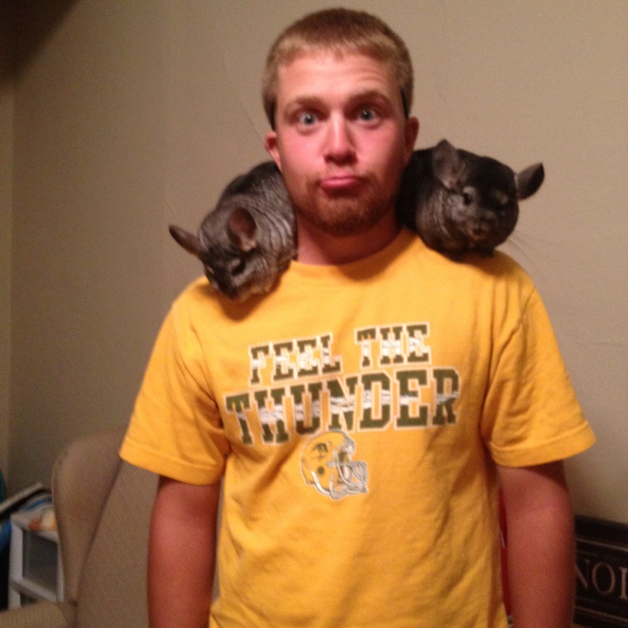 NDSU Bison. All day. Every day.
