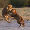 John Cuff - @GraceforLife - Twitter