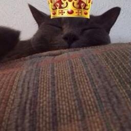 Ladies man, ruler of all earth, actor, singer. I'm a big deal.