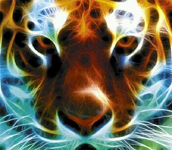 EoGrupo's profile picture. 