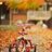 ankur078bisht's profile image