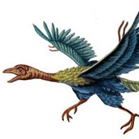 Atheiopterix (@atheiopterix) 's Twitter Profile