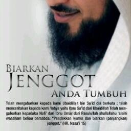 Seorang Internet Marketer Pemula