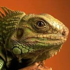 2022_MB's profile picture. Kāpēc jāmācās pievilināt veiksmi no ārpuses, ja tā vienmēr ir mitusi dziļi mūsos?