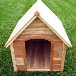 YokoWidodo's profile picture. 