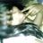 ilyantranisse's profile image
