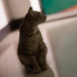 我來自CN的自由攝影愛好者
私は、CNからフリーランスの写真家だ。