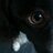 paula_irving's profile image