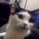 Amanda cawley  - @AcRavenclaw - Twitter