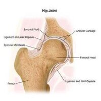 perfected.ac.uk (@perfectederp) 's Twitter Profile Photo