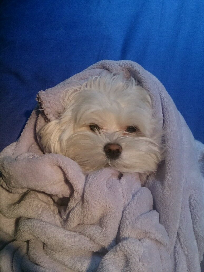 Frikimanga's profile picture. Se tu mismo, con tu mecanismo...                    Graduada en Geografía y Ordenación del Territorio.