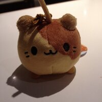 ぴーかふ (@pycfpycf) 's Twitter Profile