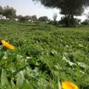 Saad AL-Dossary (@056487497) Twitter