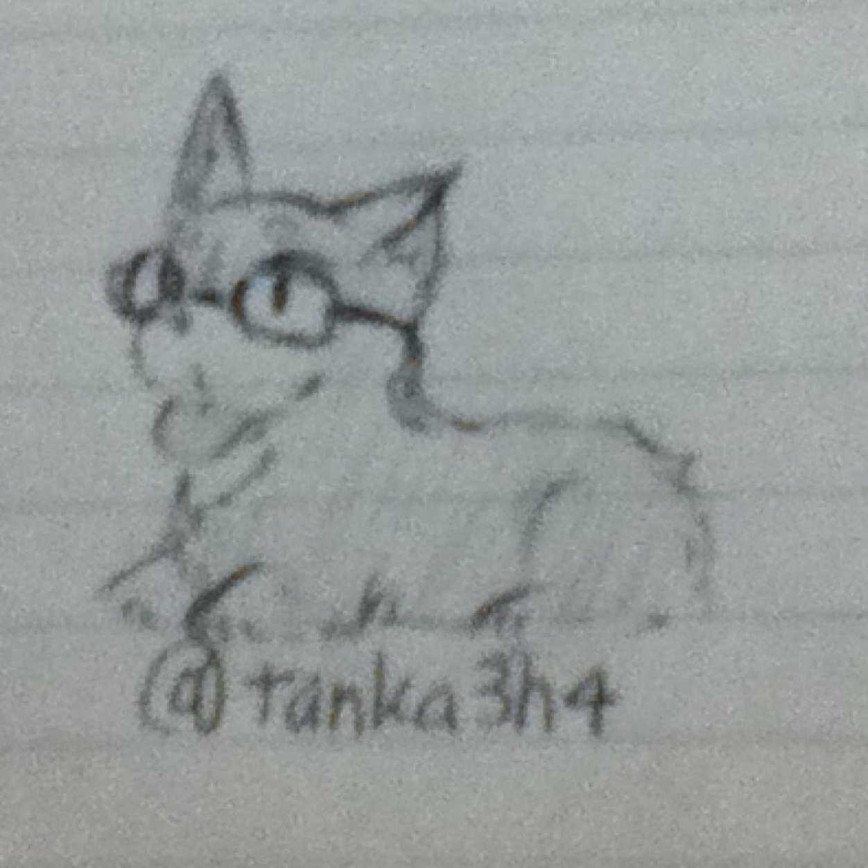 tanka3h4 Profile Picture