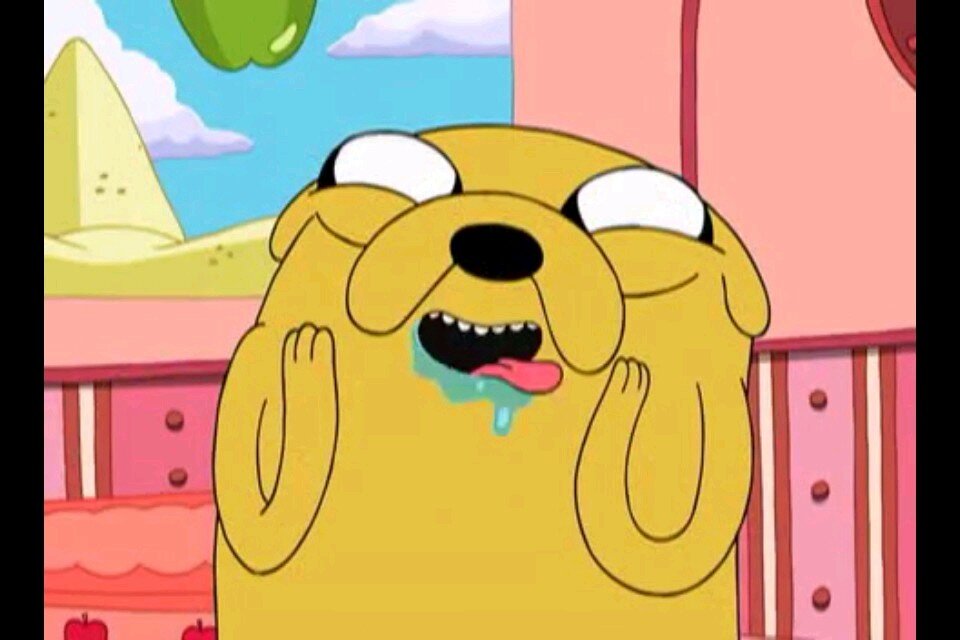 Sou Jake, melhor amigo de finn.