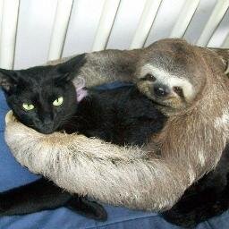 ehuqovuza's profile picture. 