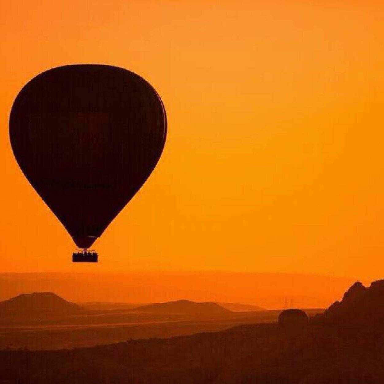 parnigotto's profile picture. 